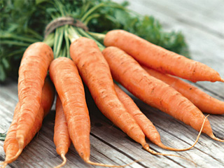 Морковь посевная 